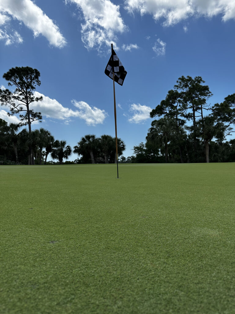 greens-the-old-collier-golf-club-platinum-te-paspalum