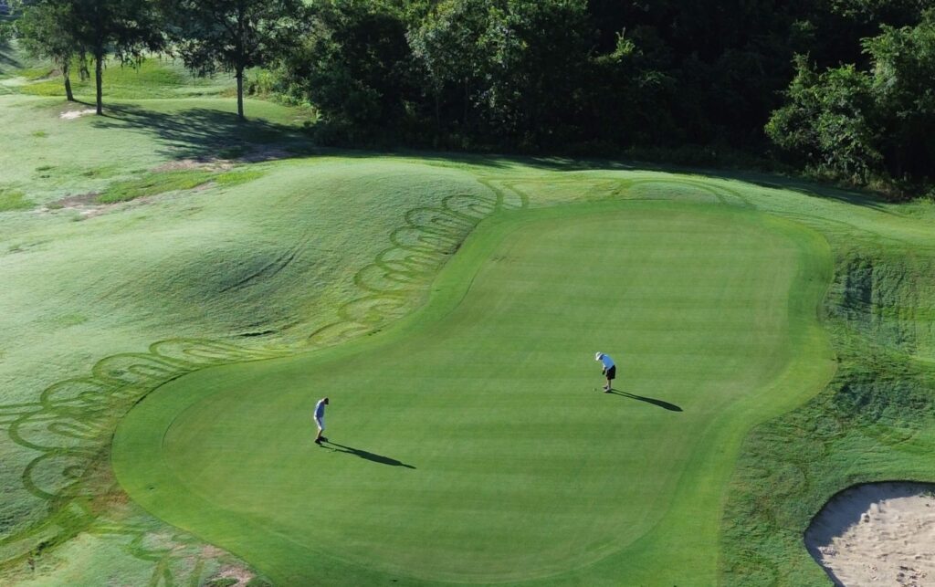 platinum te paspalum for water quality issues at pebble creek country club